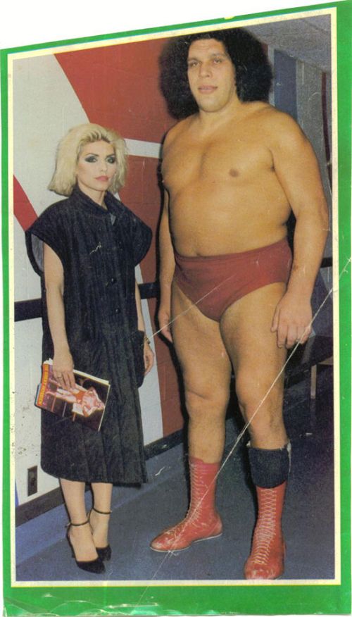 Andre The Giant (16 pics)