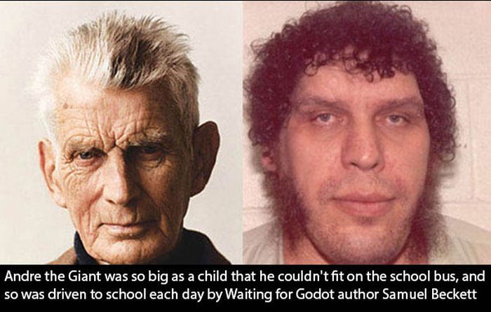 Andre The Giant (16 pics)