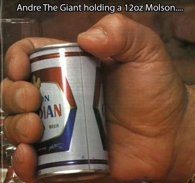 Andre The Giant (16 pics)