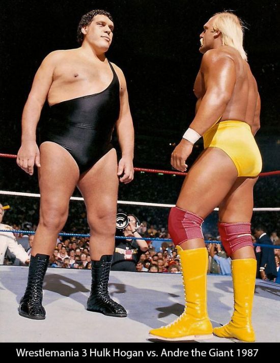 Andre The Giant (16 pics)