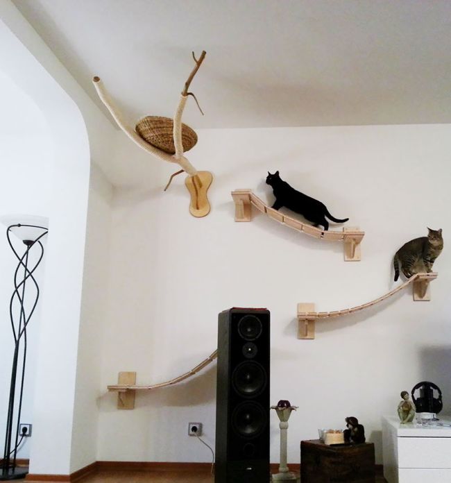 Cats' Playground (10 pics)