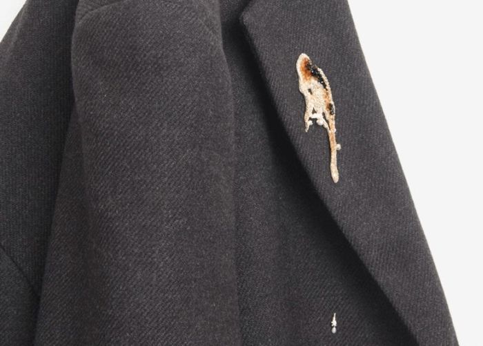 Pigeon Poop Brooches (11 pics)