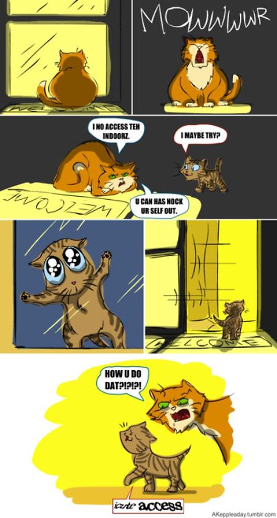 Funny Captchas (20 pics)