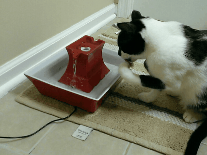 Acid Gifdump, January 20, 2014 (25 gifs)