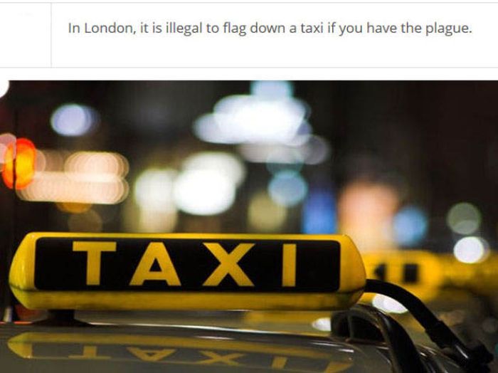 Strange Laws From Around the World (25 pics)