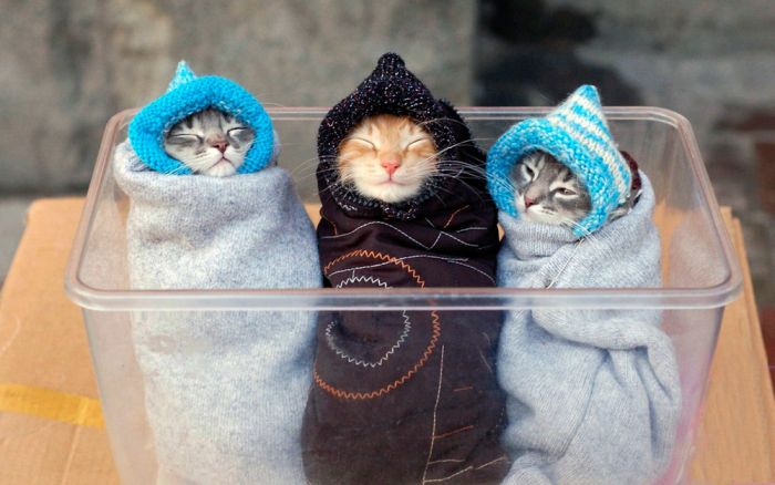 Acid Picdump (121 pics)