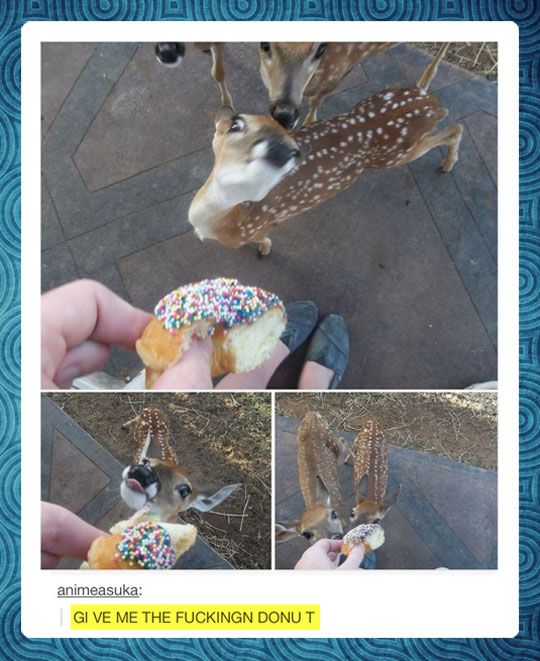 Acid Picdump (121 pics)