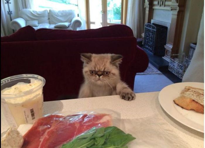 Acid Picdump (121 pics)