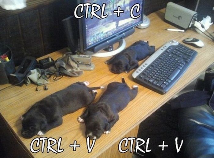 Acid Picdump (121 pics)