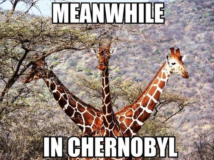 Acid Picdump (121 pics)