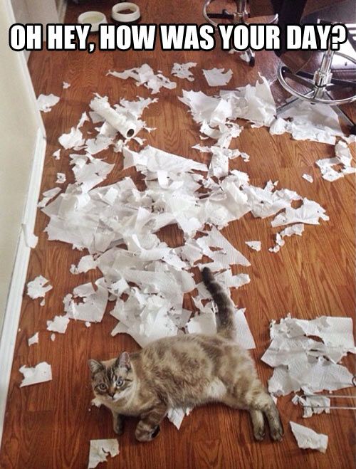 Acid Picdump (121 pics)