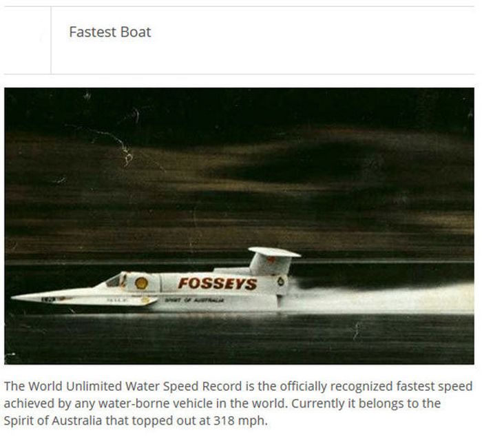 The Fastest Things In The World (25 pics)