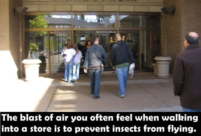Fun Facts. Part 19 (44 pics)