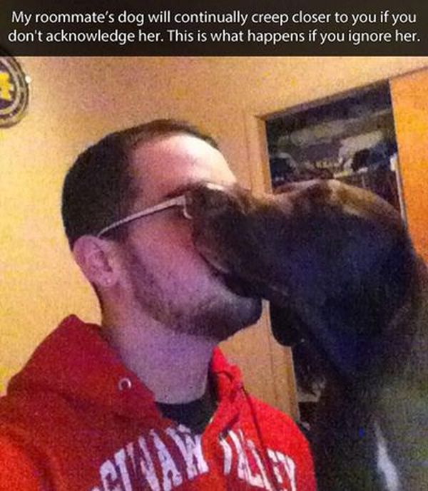 Why Dog Is Man's Best Friend. Part 2 (24 pics)