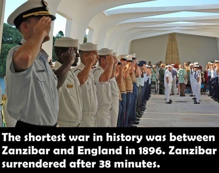 Fun Facts. Part 20 (19 pics)