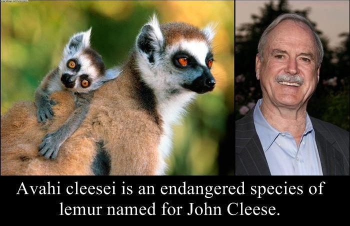 Species Named After Famous Persons (20 pics)