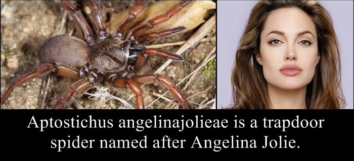 Species Named After Famous Persons (20 pics)