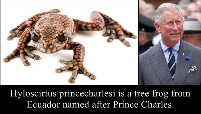 Species Named After Famous Persons (20 pics)