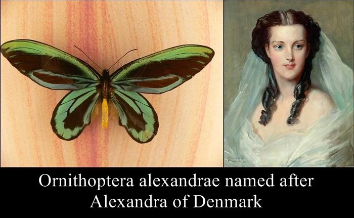 Species Named After Famous Persons (20 pics)