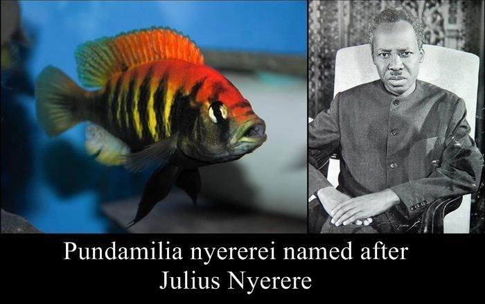 Species Named After Famous Persons (20 pics)