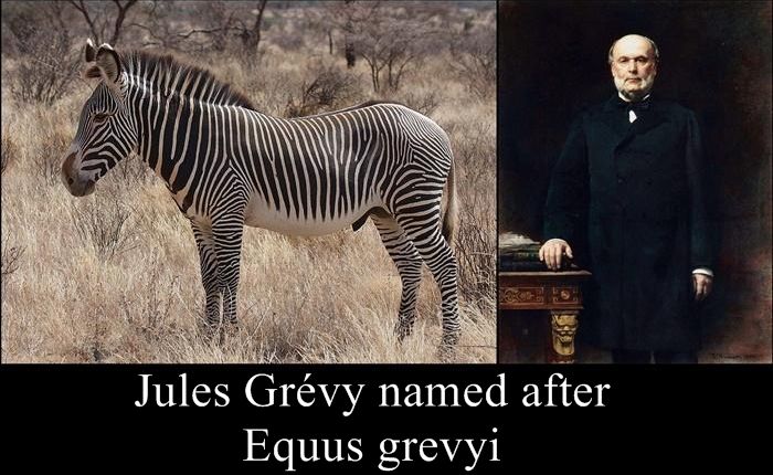 Species Named After Famous Persons (20 pics)