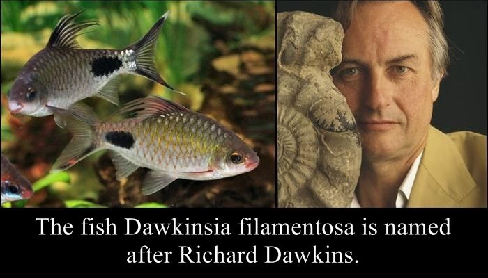 Species Named After Famous Persons (20 pics)