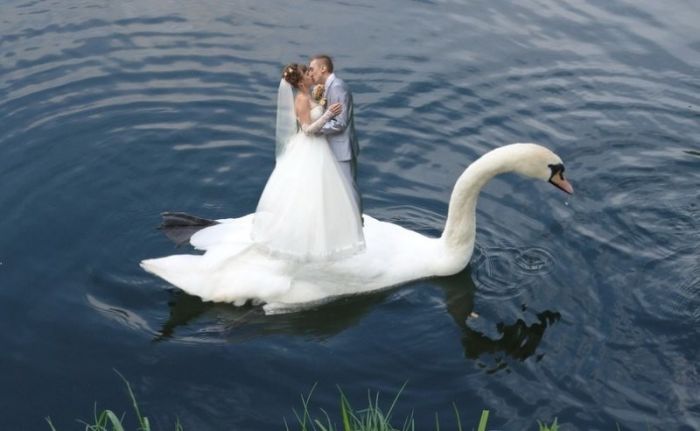 Funny Wedding Photos from Eastern Europe (40 pics)