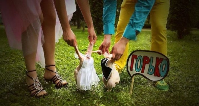 Funny Wedding Photos from Eastern Europe (40 pics)