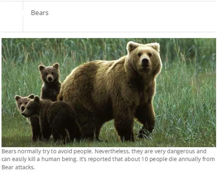Animals Responsible For Killing The Most Humans (25 pics)