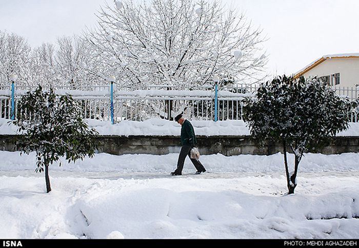 Snowstorm in Iran (45 pics)