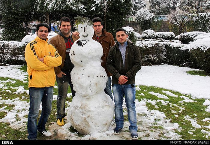 Snowstorm in Iran (45 pics)