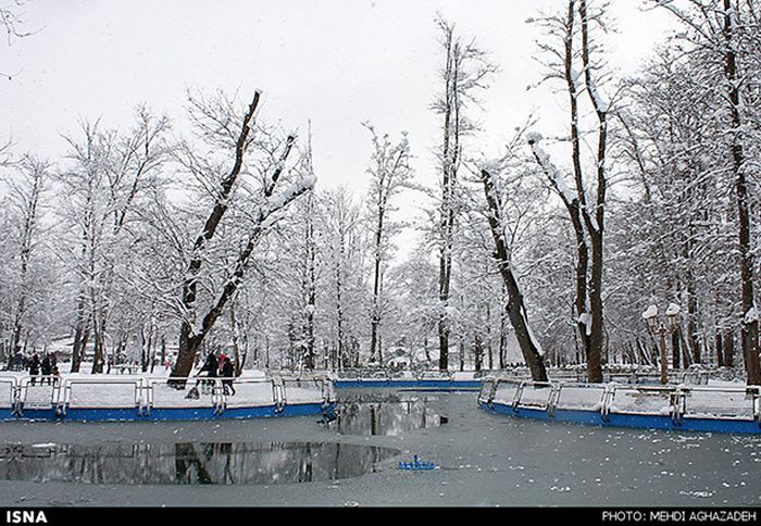 Snowstorm in Iran (45 pics)