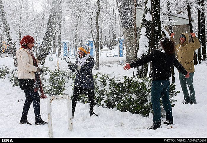 Snowstorm in Iran (45 pics)