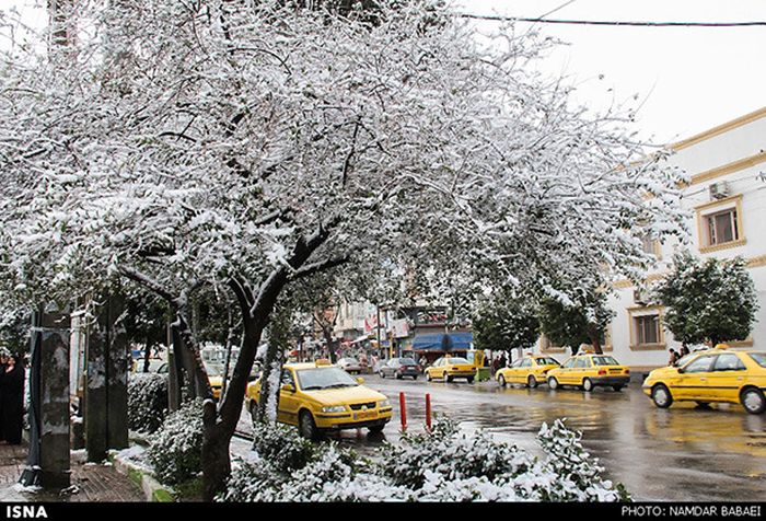 Snowstorm in Iran (45 pics)