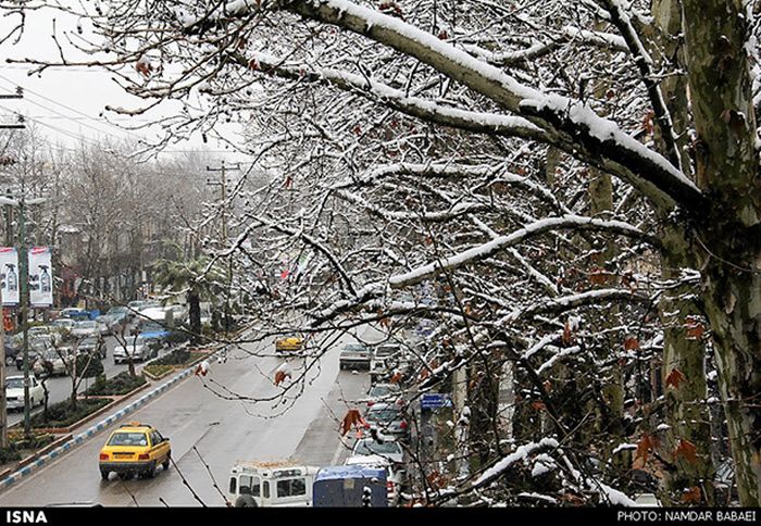 Snowstorm in Iran (45 pics)