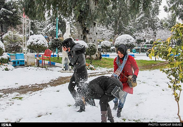 Snowstorm in Iran (45 pics)