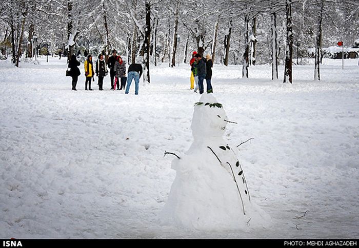 Snowstorm in Iran (45 pics)