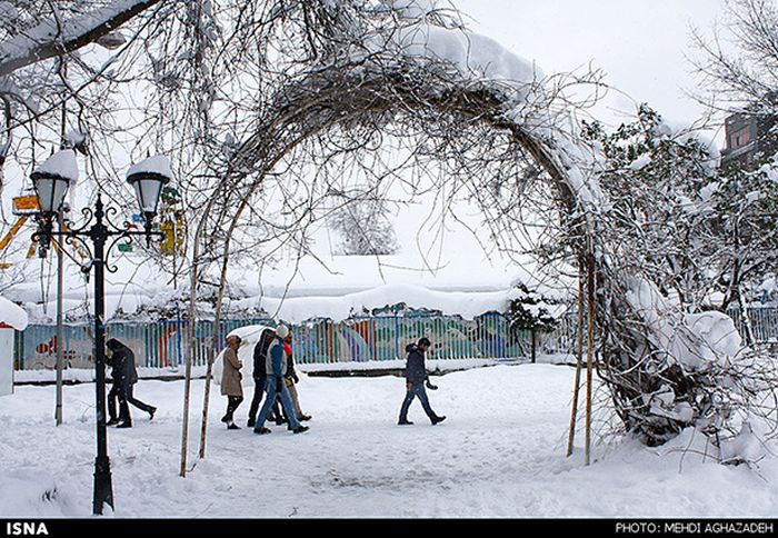 Snowstorm in Iran (45 pics)