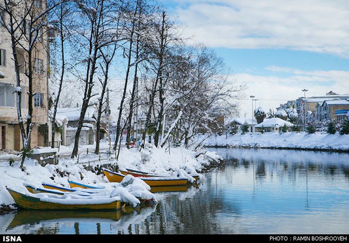 Snowstorm in Iran (45 pics)