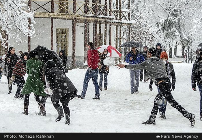 Snowstorm in Iran (45 pics)