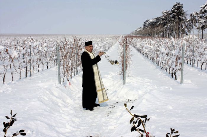 Romanian Priests Bless Just About Everything (20 pics)