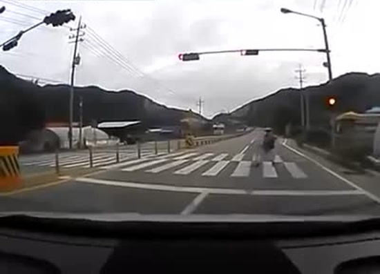 Korean Driver Saves a Pedestrian's Life