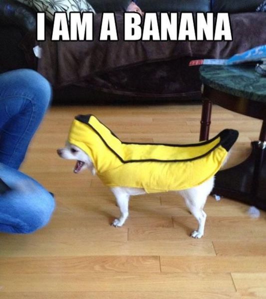 Acid Picdump (111 pics)