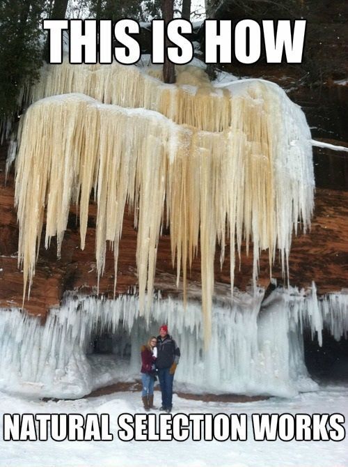 Acid Picdump (111 pics)