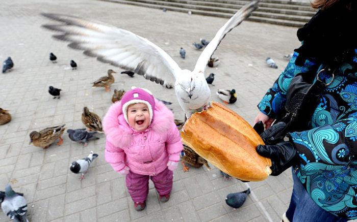 Acid Picdump (111 pics)