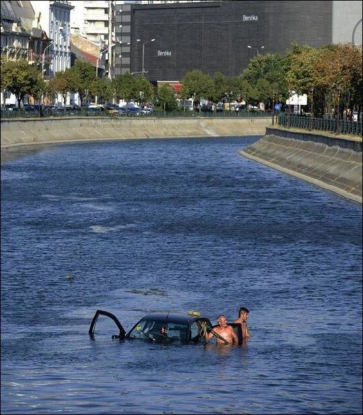 Acid Picdump (111 pics)