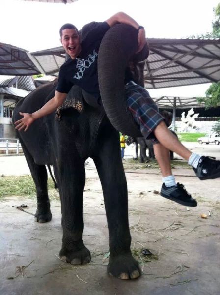 Acid Picdump (111 pics)
