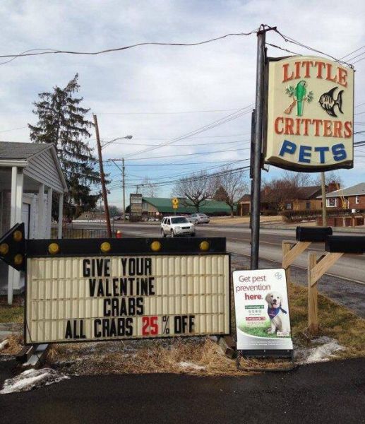Almost Nailed It. Part 10 (38 pics)