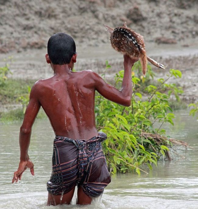 Boy Saves a Fawn (11 pics)