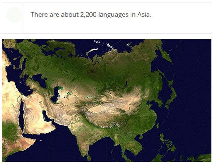 Very Interesting Facts About Languages (25 pics)